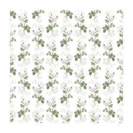 Vintage White Misty Rose Pattern on White