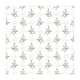 Vintage Blue Spiderwort Botanical Pattern on White