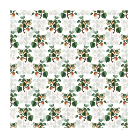 Vintage Apricot Botanical Pattern on White