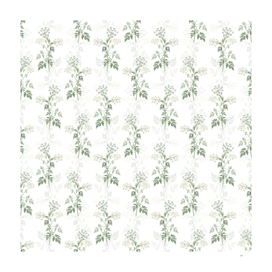 Vintage Hemlock Flowers Botanical Pattern on White