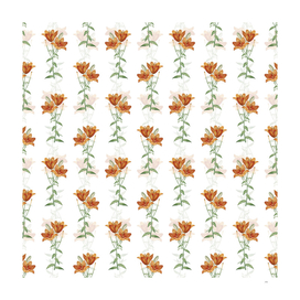 Vintage Orange Bulbous Lily Pattern on White