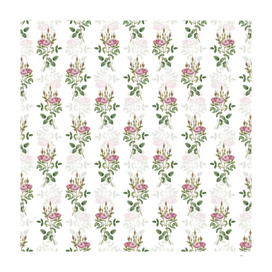 Vintage Mossy Pompon Rose Pattern on White