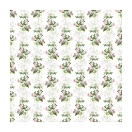 Vintage Pink Baby Roses Botanical Pattern on White