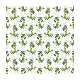 Vintage Field Elm Botanical Pattern on White