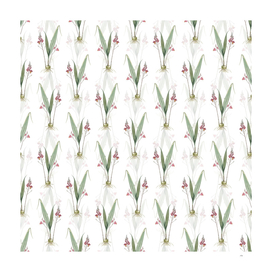 Vintage Pine Pink Botanical Pattern on White