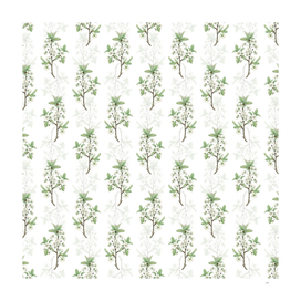 Vintage White Plum Flower Pattern on White
