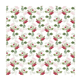 Vintage Turnip Roses Botanical Pattern on White