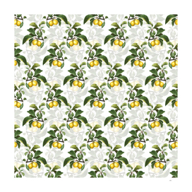 Vintage Ripe Plums on a Branch Pattern on White
