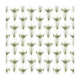 Vintage Arrowhead Botanical Pattern on White