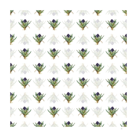 Vintage Pygmy Iris Botanical Pattern on White
