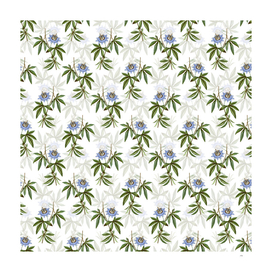Vintage Blue Passionflower Pattern on White