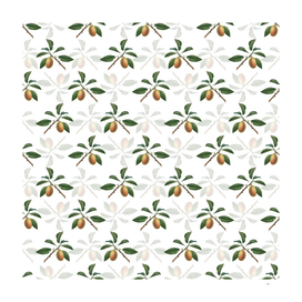 Vintage Armenian Plum Botanical Pattern on White