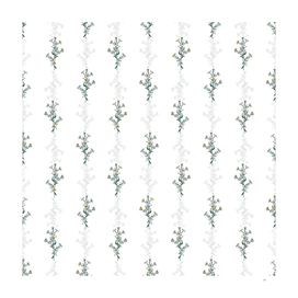 Vintage Glaucous Aster Flower Pattern on White