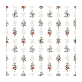 Vintage Common Juniper Botanical Pattern on White