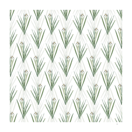 Vintage Stinking Iris Botanical Pattern on White
