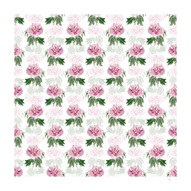 Double Red Curled Tree Peony Pattern on White