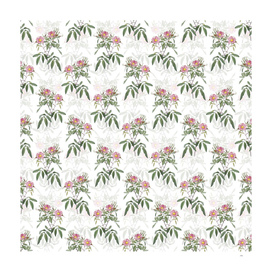 Vintage Pink Swamp Roses Pattern on White