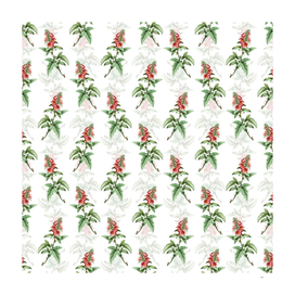 Vintage Tree Mallow Botanical Pattern on White