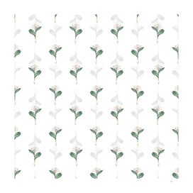 Vintage Pygmy Hyacinth Botanical Pattern on White