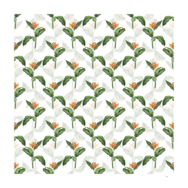 Vintage Lobster Claws Botanical Pattern on White