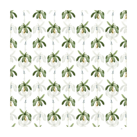 Vintage Scilla Lilio Hyacinthus Pattern on White