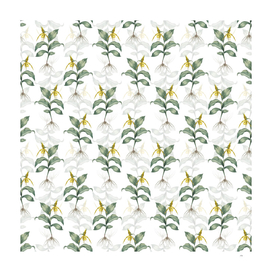 Yellow Lady's Slipper Orchid Pattern on White