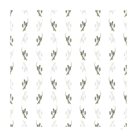 Vintage Meadow Squill Flower Pattern on White