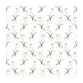 Vintage Spring Garlic Botanical Pattern on White