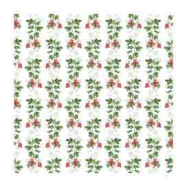 Vintage Redcurrant Plant Pattern on White