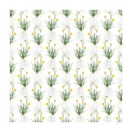 Vintage Yellow Eyed Grass Pattern on White