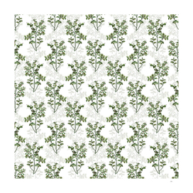 Vintage Bilberry Botanical Pattern on White