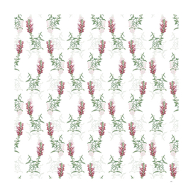 Vintage Red Dragon Flowers Pattern on White