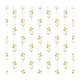 Perennial Dyer's Coreopsis Pattern on White