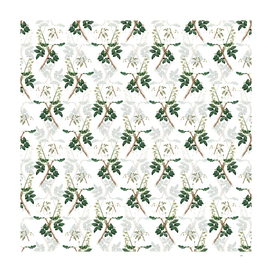 Vintage Pistachio Botanical Pattern on White