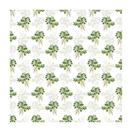 Vintage Bear Oak Botanical Pattern on White