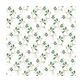 Vintage Pistachio Botanical Pattern on White