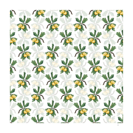 Vintage Hawthorne Botanical Pattern on White