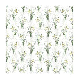 Vintage Slime Lily Botanical Pattern on White