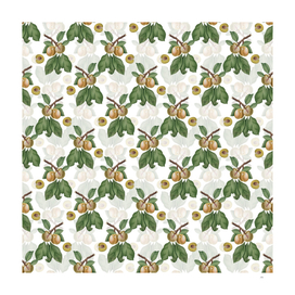 Vintage Prune Botanical Pattern on White