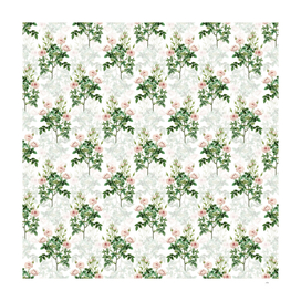 Vintage Rosier Pompon Botanical Pattern on White