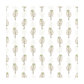 Vintage Pear Tree Flowers Pattern on White