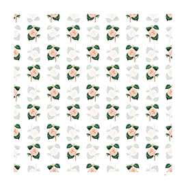 Gray's Invincible Camellia Pattern on White