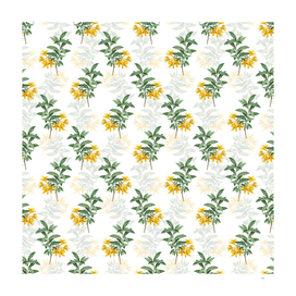 Vintage Yellow Azalea Botanical Pattern on White