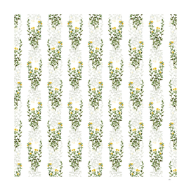 Vintage Yellow Jasmine Flowers Pattern on White