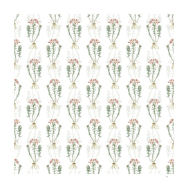 Vintage Lily of the Incas Pattern on White