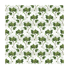 Vintage American Sycamore Pattern on White