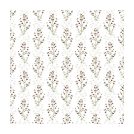 Vintage Heath Mirbelia Branch Pattern on White