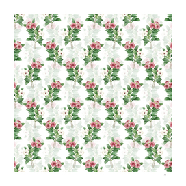 Vintage Periwinkle Botanical Pattern on White