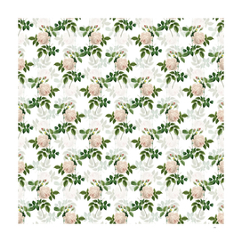 Vintage Rosa Indica Botanical Pattern on White