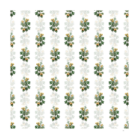 Vintage Aronia Thorn Flower Pattern on White